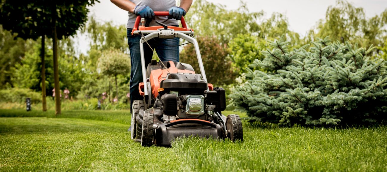 Buttrose Gardener mowing the lawn. Landscape design. Gardening