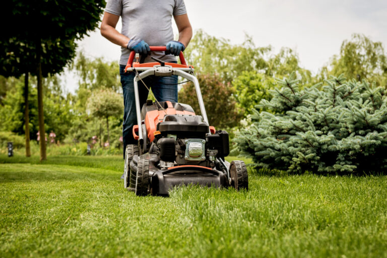 Buttrose Gardener mowing the lawn. Landscape design. Gardening
