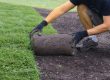 Buttrose landscape Person laying turf