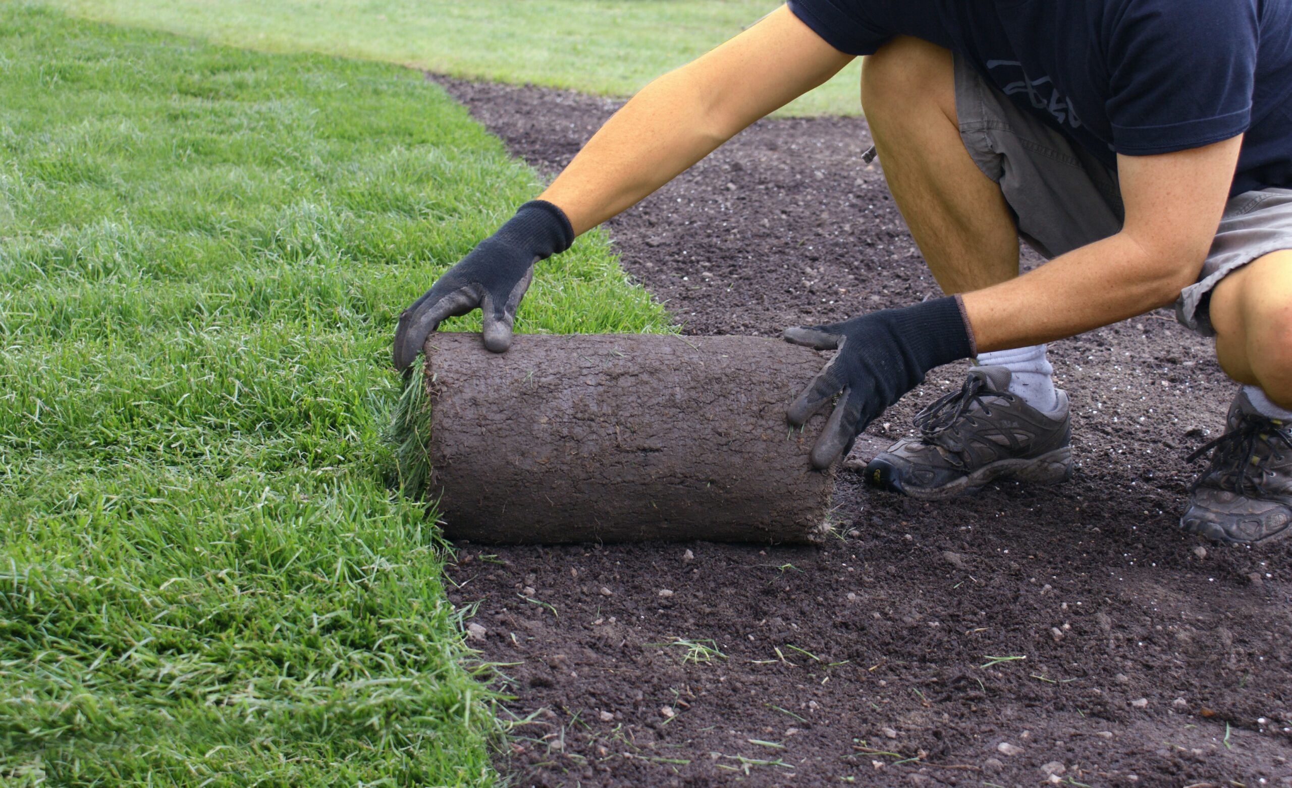 Buttrose landscape Person laying turf