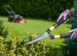 Person trimming hedge with loppers. Mower in background on grass