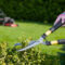 Person trimming hedge with loppers. Mower in background on grass
