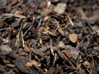 Pine bark ground cover 25mm