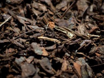 Pine bark ground cover 40mm