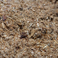 Saw dust ground cover