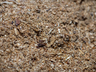 Saw dust ground cover