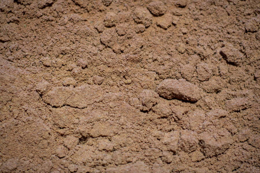 Buttrose Albert Red Plaster Sand