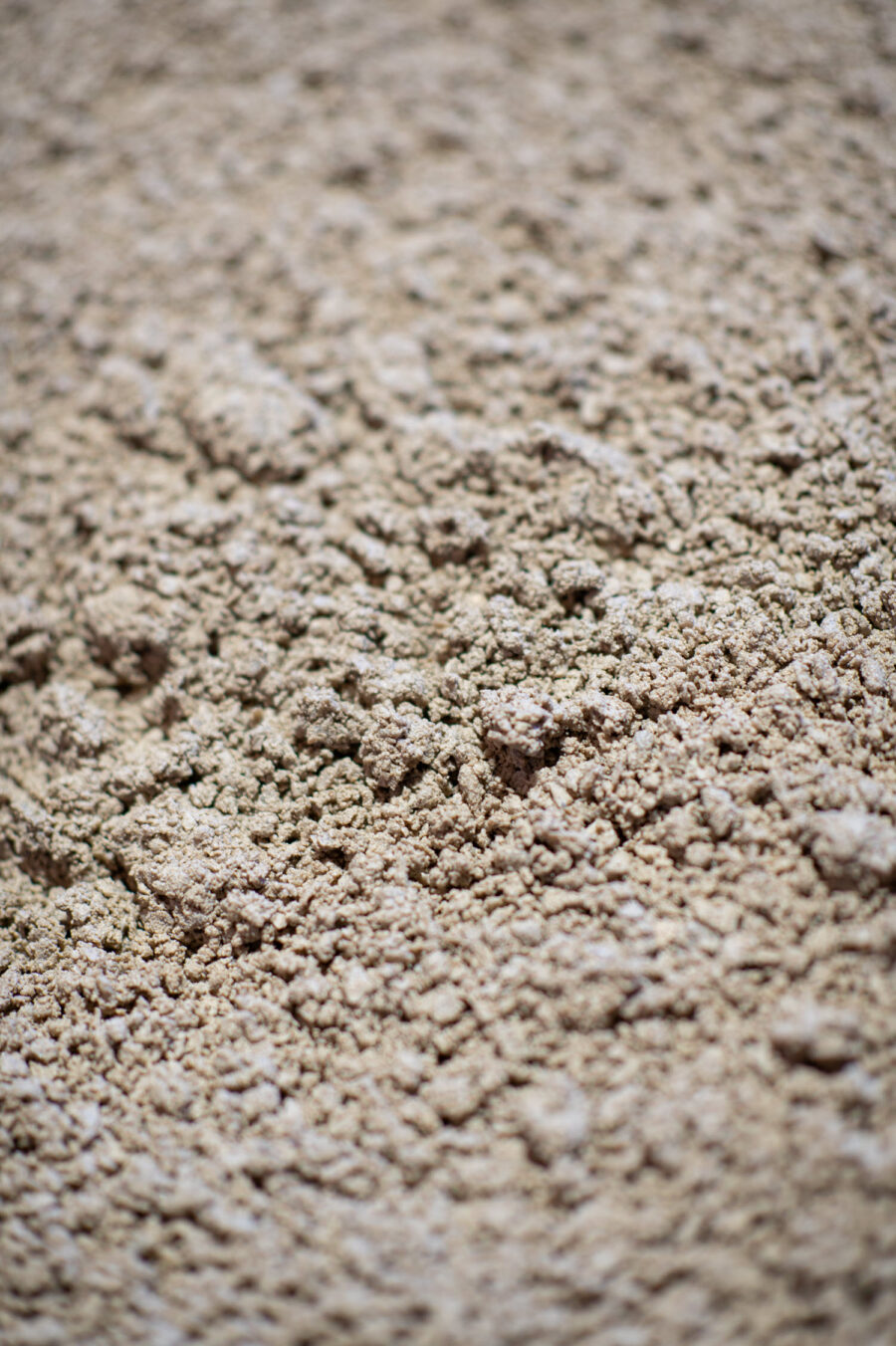 Buttrose Flinders Grey crusher dust
