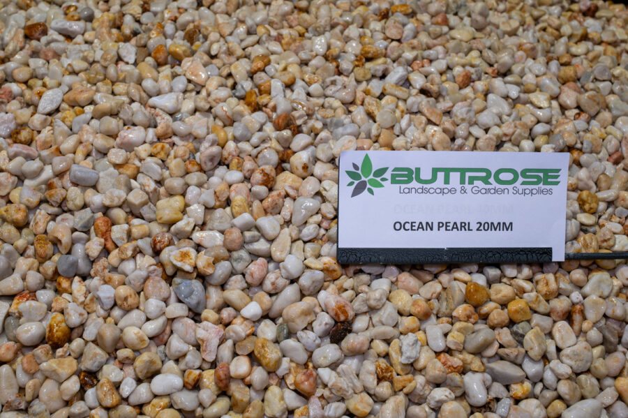 Buttrose Ocean pearl 20mm