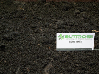 Buttrose Landscape - Grape mark ground cover