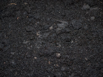 Buttrose Landscape - Grape mark ground cover