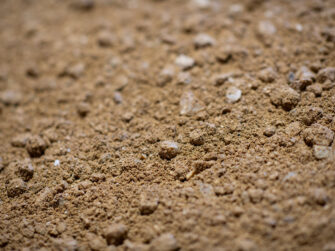 Buttrose Rosedale Rubble