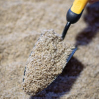 Buttrose Sharp propagating sand