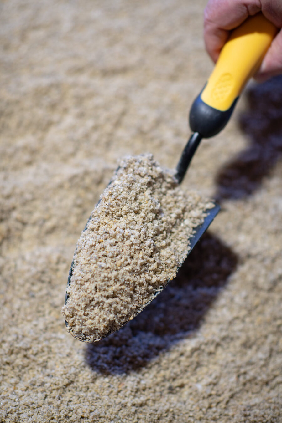 Buttrose Sharp propagating sand