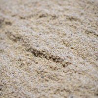 Buttrose Sharp propagating sand