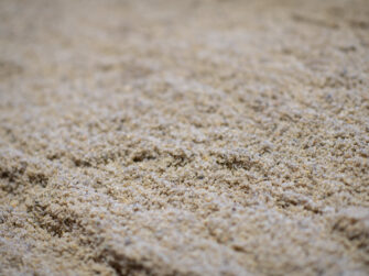 Buttrose Sharp propagating sand