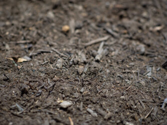 Buttrose Cultured Compost