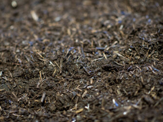 Buttrose Chicken Manure