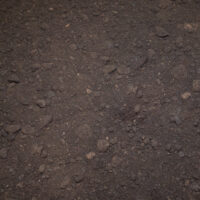 Buttrose Cow Manure