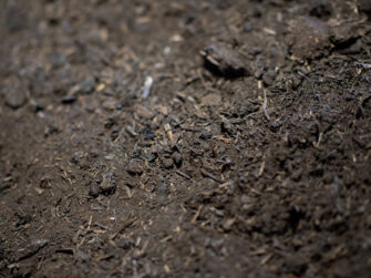 Buttrose Premium organic compost