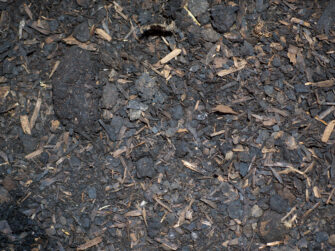 Buttrose whoflungdung